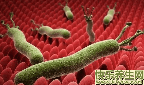 杀幽门螺杆菌最好的药是什么