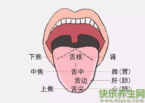 舌头下面血管发紫发黑怎么办