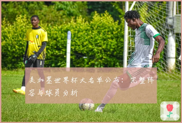 美加墨世界杯大名单公布：完整阵容与球员分析