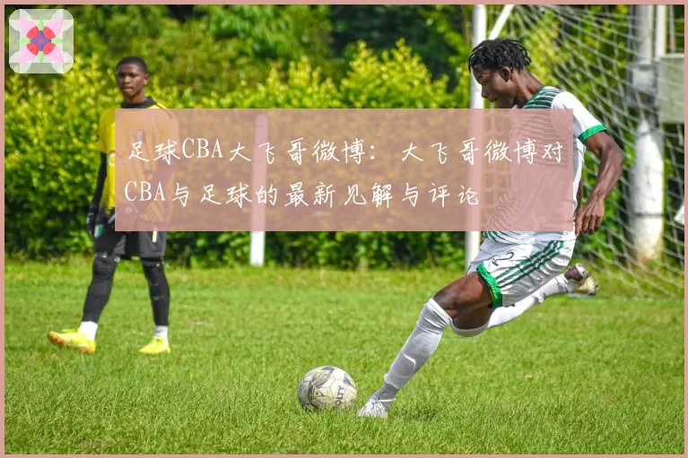 足球CBA大飞哥微博：大飞哥微博对CBA与足球的最新见解与评论