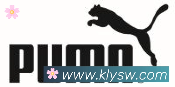 爱游戏体育app下载合作伙伴