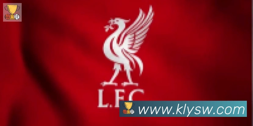 爱游戏体育app下载合作伙伴